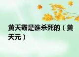 黄天霸是谁杀死的（黄天元）