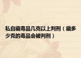 私自藏毒品几克以上判刑（藏多少克的毒品会被判刑）