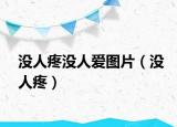没人疼没人爱图片（没人疼）
