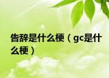告辞是什么梗（gc是什么梗）