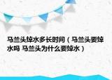 马兰头焯水多长时间（马兰头要焯水吗 马兰头为什么要焯水）