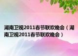 湖南卫视2011春节联欢晚会（湖南卫视2011春节联欢晚会）