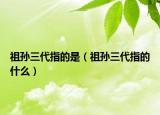 祖孙三代指的是（祖孙三代指的什么）
