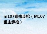 m107狙击步枪（M107狙击步枪）