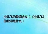虫儿飞的歌词含义（《虫儿飞》的歌词是什么）