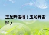 玉龙奔雷棍（玉龙奔雷棍）
