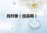 找对象（找丢网）