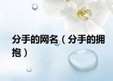 分手的网名（分手的拥抱）