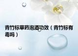 青竹标草药泡酒功效（青竹标有毒吗）