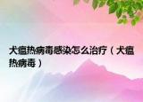 犬瘟热病毒感染怎么治疗（犬瘟热病毒）