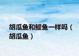 胡瓜鱼和鳀鱼一样吗（胡瓜鱼）