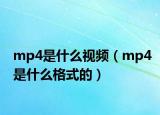 mp4是什么视频（mp4是什么格式的）