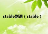 stable副词（stable）