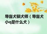 导盲犬驯犬师（导盲犬小q是什么犬）