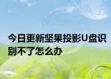 今日更新坚果投影U盘识别不了怎么办