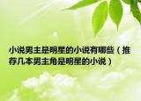小说男主是明星的小说有哪些（推荐几本男主角是明星的小说）
