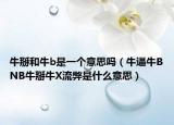 牛掰和牛b是一个意思吗（牛逼牛BNB牛掰牛X流弊是什么意思）