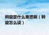 斡旋是什么意思啊（斡旋怎么读）