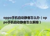 oppo手机自动静音怎么办（oppo手机自动静音怎么解除）