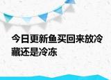 今日更新鱼买回来放冷藏还是冷冻