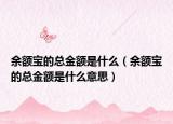 余额宝的总金额是什么（余额宝的总金额是什么意思）