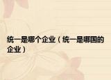 统一是哪个企业（统一是哪国的企业）