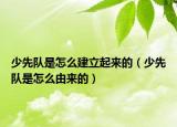 少先队是怎么建立起来的（少先队是怎么由来的）