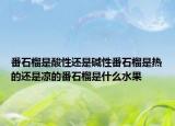 番石榴是酸性还是碱性番石榴是热的还是凉的番石榴是什么水果