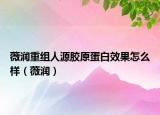 薇润重组人源胶原蛋白效果怎么样（薇润）