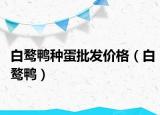 白鹜鸭种蛋批发价格（白鹜鸭）