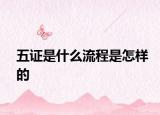 五证是什么流程是怎样的