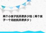 两个小孩子抚养费多少钱（两个孩子一个月的抚养费多少）