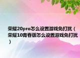 荣耀20pro怎么设置游戏免打扰（荣耀10青春版怎么设置游戏免打扰）