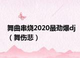 舞曲串烧2020最劲爆dj（舞伤悲）