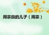 周宗良的儿子（周宗）