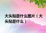 大头贴是什么图片（大头贴是什么）