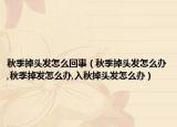 秋季掉头发怎么回事（秋季掉头发怎么办,秋季掉发怎么办,入秋掉头发怎么办）