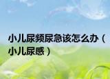小儿尿频尿急该怎么办（小儿尿感）