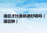 潘启才比黄新德好唱吗（潘启翀）