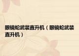 眼镜蛇武装直升机（眼镜蛇武装直升机）