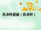 孔令轩是谁（孔令轩）