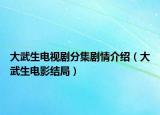 大武生电视剧分集剧情介绍（大武生电影结局）