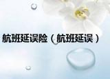 航班延误险（航班延误）