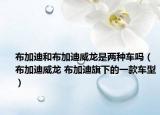布加迪和布加迪威龙是两种车吗（布加迪威龙 布加迪旗下的一款车型）