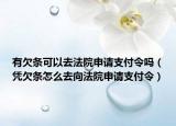 有欠条可以去法院申请支付令吗（凭欠条怎么去向法院申请支付令）
