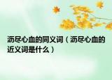 沥尽心血的同义词（沥尽心血的近义词是什么）