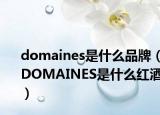domaines是什么品牌（DOMAINES是什么红酒）