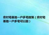 农村宅基地一户多宅政策（农村宅基地一户多宅可以回）