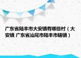 广东省陆丰市大安镇有哪些村（大安镇 广东省汕尾市陆丰市辖镇）