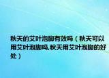 秋天的艾叶泡脚有效吗（秋天可以用艾叶泡脚吗,秋天用艾叶泡脚的好处）
